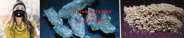 шишки Сосновый Бор