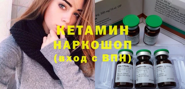шишки Сосновый Бор