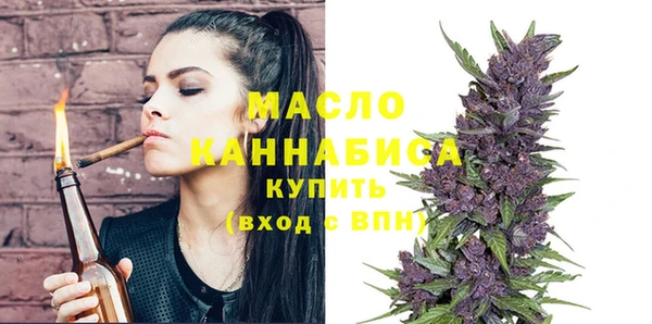 шишки Сосновый Бор