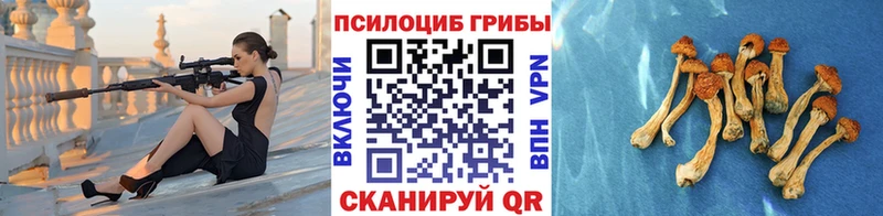 Галлюциногенные грибы мицелий  купить  сайты  МЕГА как войти  darknet какой сайт  Миньяр 